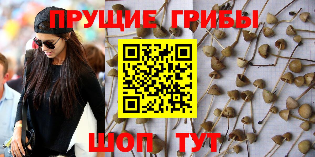 Псилоцибиновые грибы прущие грибы Краснознаменск