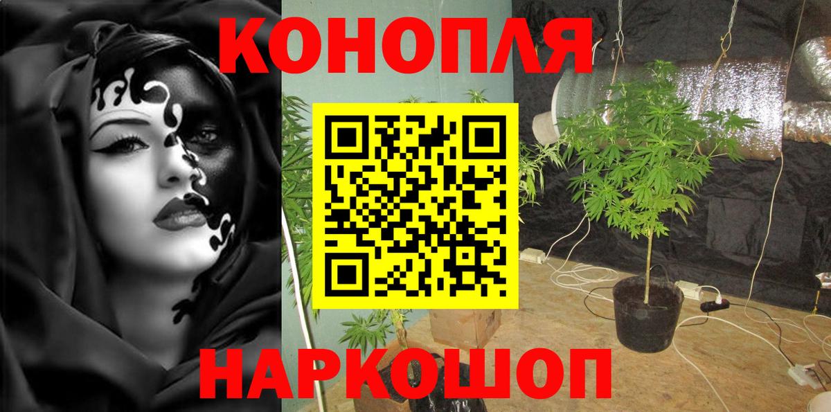 Конопля OG Kush  Бошки Шишки сатива  Вход с VPN  Краснознаменск  Шишки марихуана марихуана 
